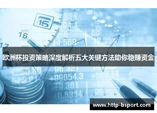 欧洲杯投资策略深度解析五大关键方法助你稳赚资金